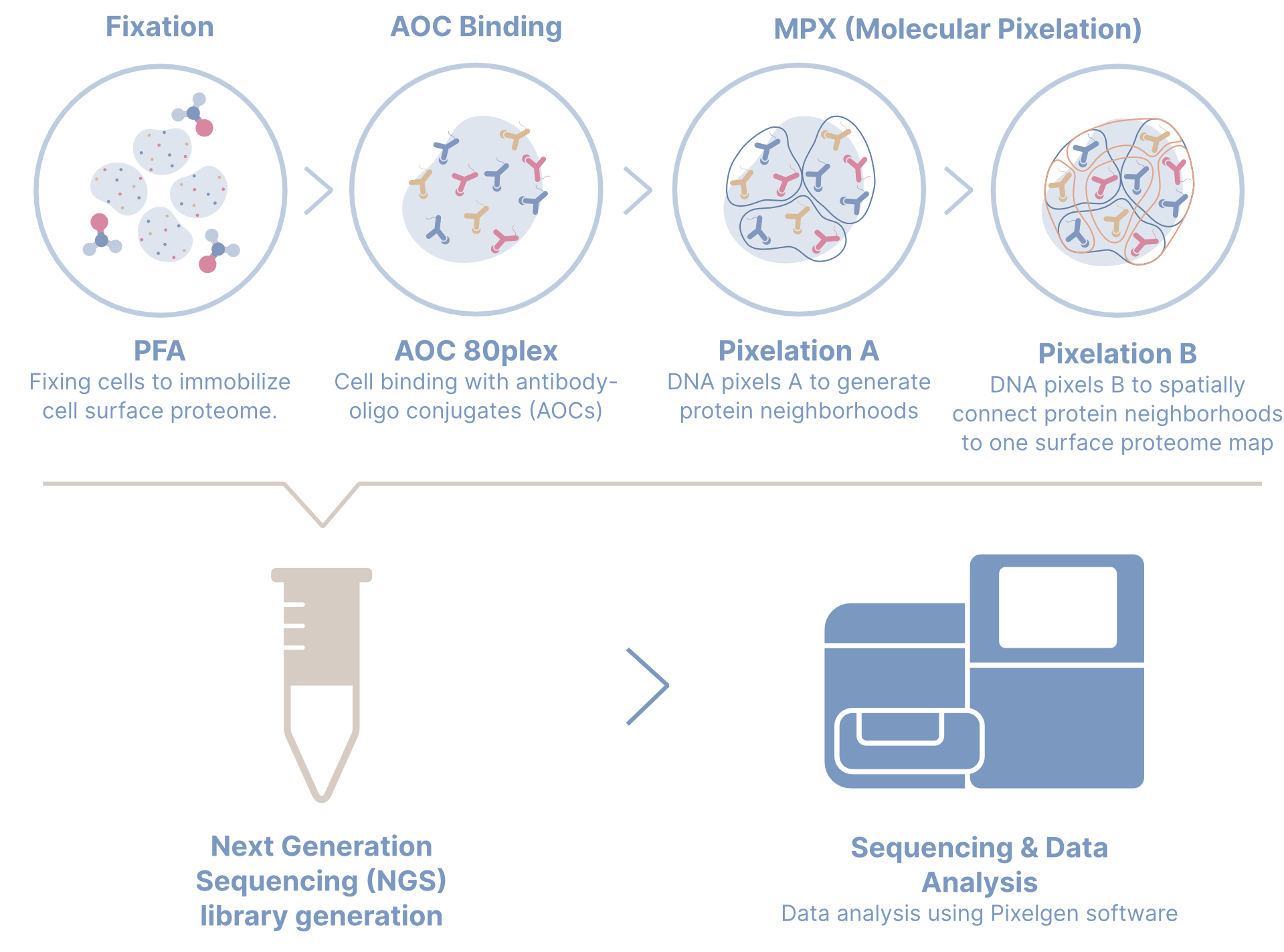 MPX technology overview