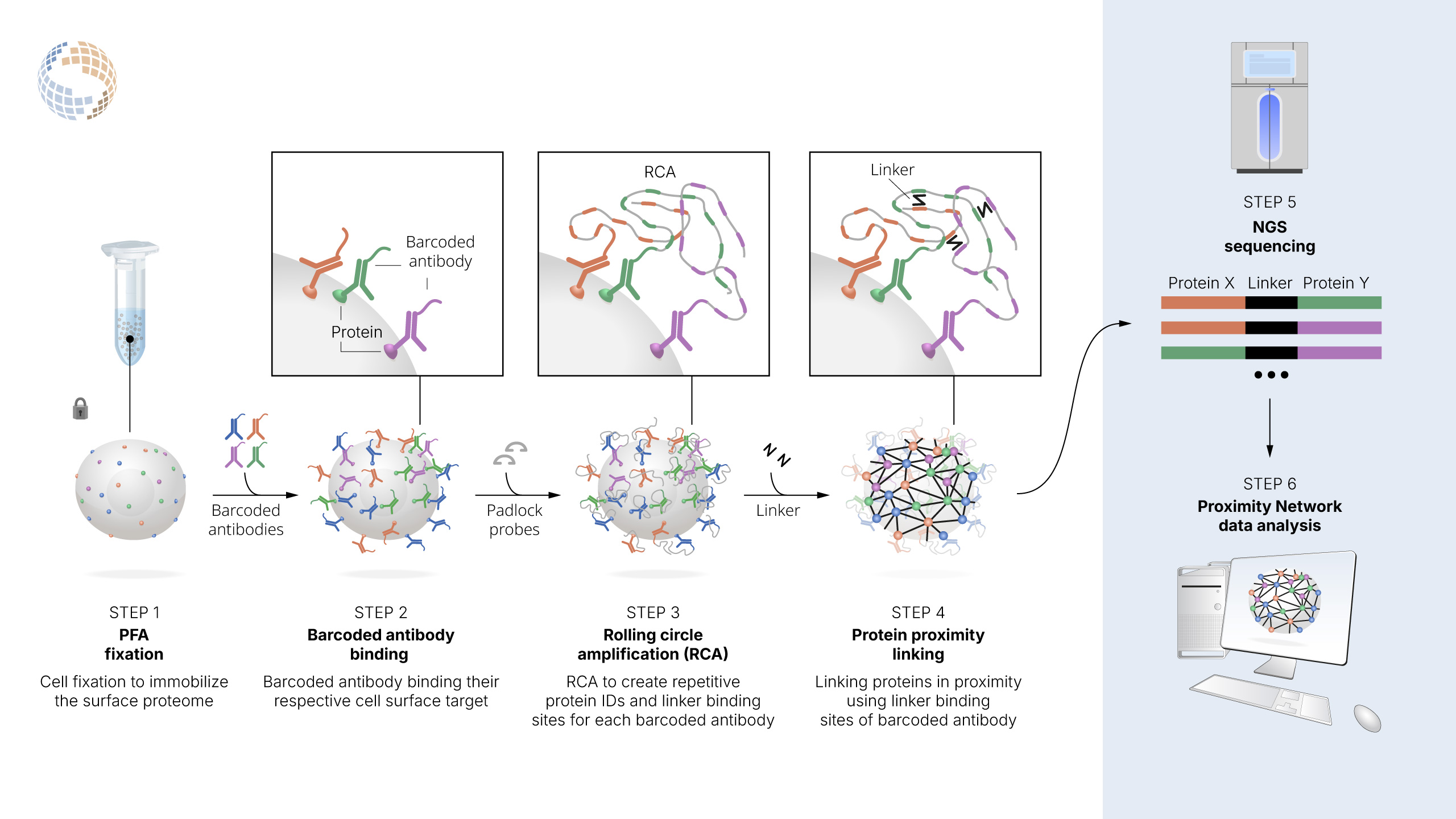 PNA technology overview