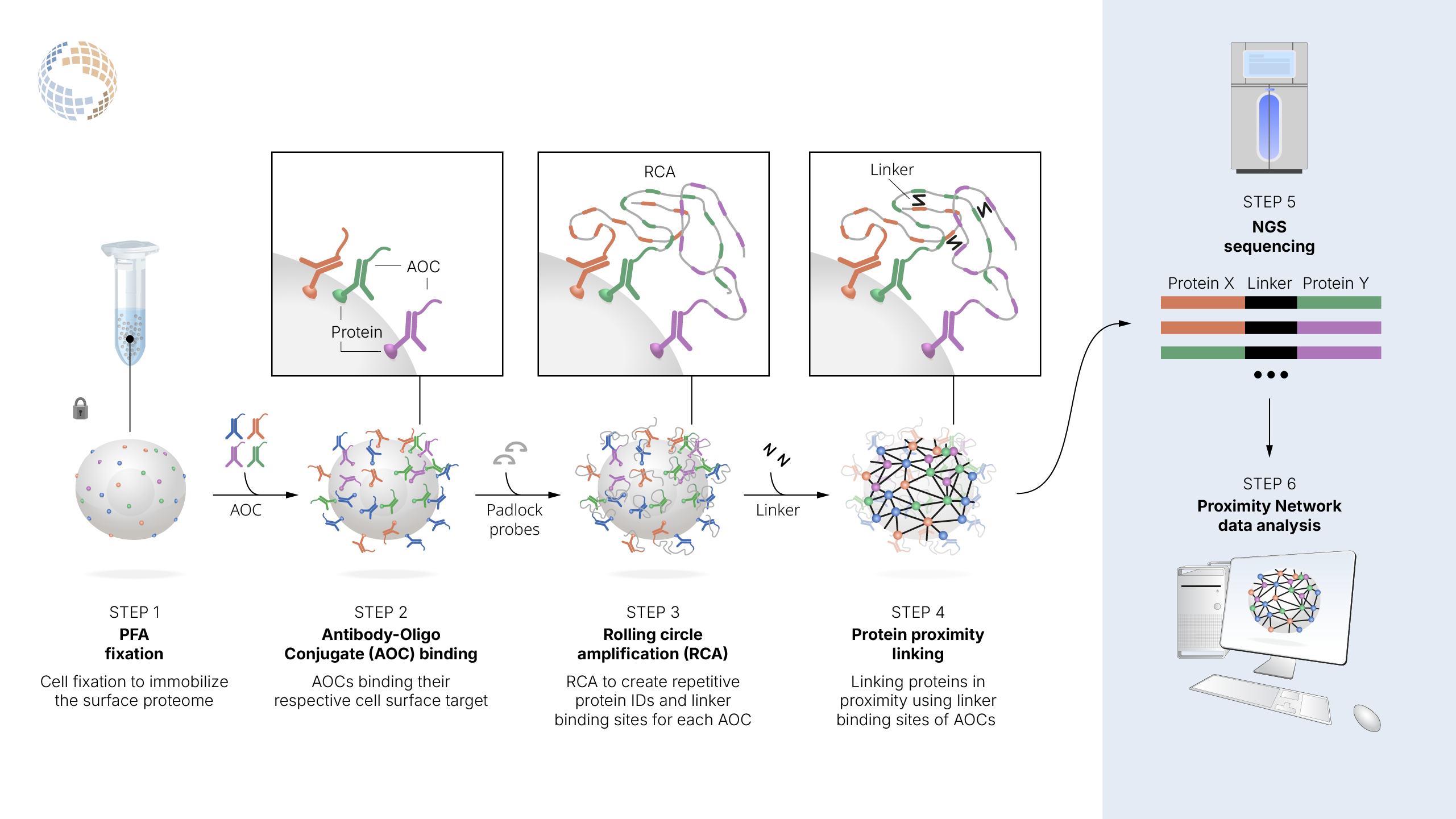 PNA technology overview